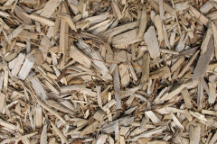 biomass boilers Culm Davy